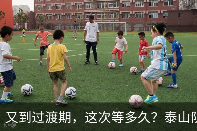 又到过渡期，这次等多久？泰山队不能只靠“救火主帅”临时续命