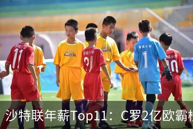 沙特联年薪Top11：C罗2亿欧霸榜，本泽马1.2亿，6人进入合同年