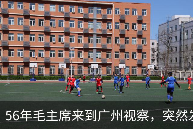56年毛主席来到广州视察，突然发问：怎么不让韦国清过来听一听